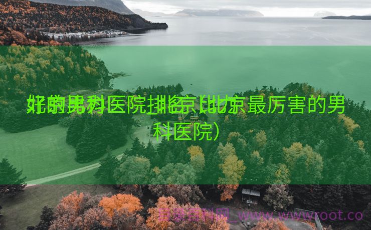 北京比力
好的男科医院_北京比力
好的男科医院排名（北京最厉害的男科医院）