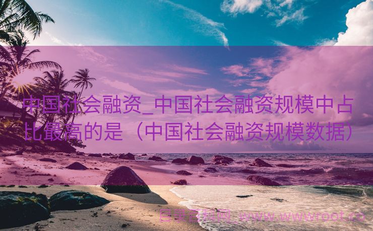 中国社会融资_中国社会融资规模中占比最高的是（中国社会融资规模数据）