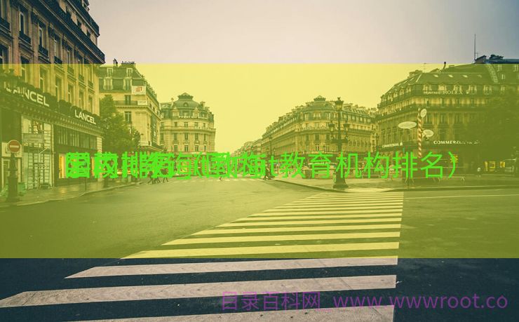 国内it教诲
公司排名_it教诲
学校排行（国内it教育机构排名）