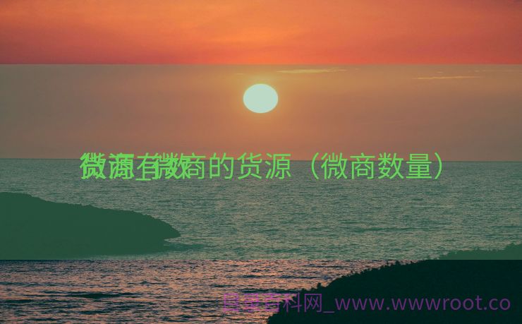 微商有数
货源_微商的货源（微商数量）