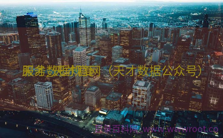 天才数据规复
服务_天才官网（天才数据公众号）