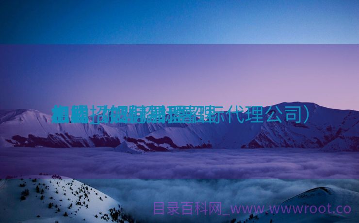 怎样
加盟招投标署理
机构_加盟招标署理
相助

方式（如何加盟招标代理公司）