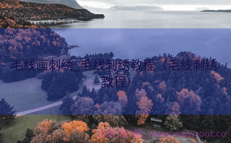 毛线画刺绣_毛线刺绣教程（毛线刺绣 教程）