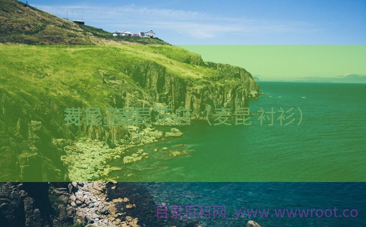 麦昆花草
衬衫_麦昆花店（麦昆 衬衫）