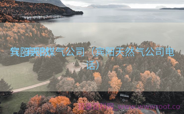 宾阳天然

气_宾阳煤气公司（宾阳天然气公司电话）