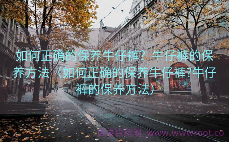 如何正确的保养牛仔裤？牛仔裤的保养方法（如何正确的保养牛仔裤?牛仔裤的保养方法）