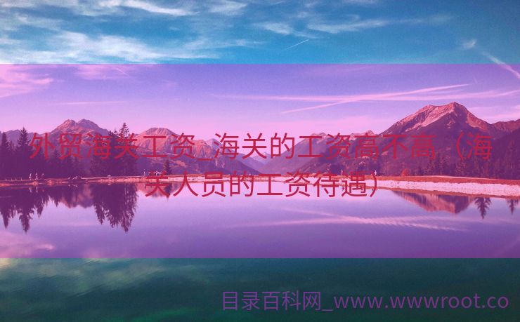 外贸海关工资_海关的工资高不高（海关人员的工资待遇）