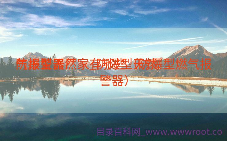 防爆型天然

气报警器厂家_防爆型天然

气报警器厂家有哪些（防爆型燃气报警器）