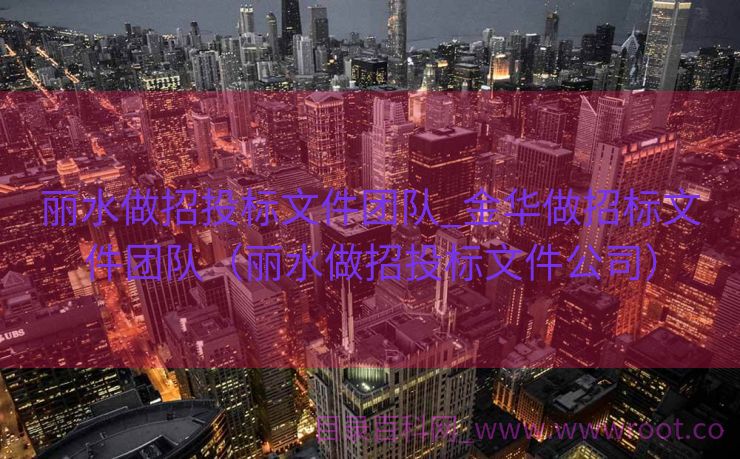丽水做招投标文件团队_金华做招标文件团队（丽水做招投标文件公司）