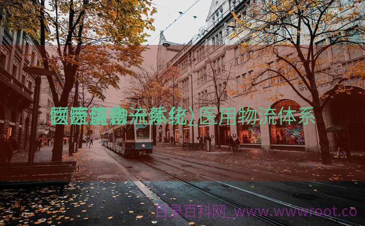 医疗装备
物流信息一体化_医用物流体系
（医用物流系统）