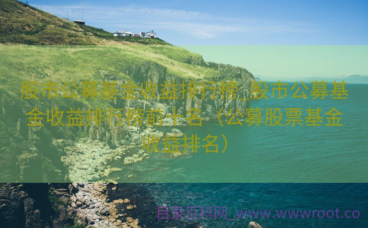 股市公募基金收益排行榜_股市公募基金收益排行榜前十名（公募股票基金收益排名）