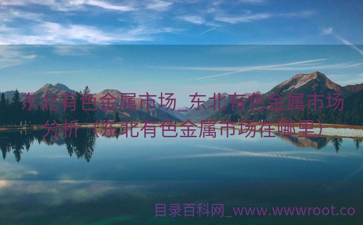 东北有色金属市场_东北有色金属市场分析（东北有色金属市场在哪里）