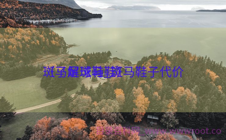 斑马足球鞋_斑马鞋子代价
（了解斑马鞋）