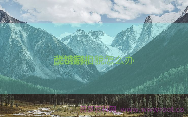 乱镌刻
_乱镌刻
改祖宗相貌怎么办