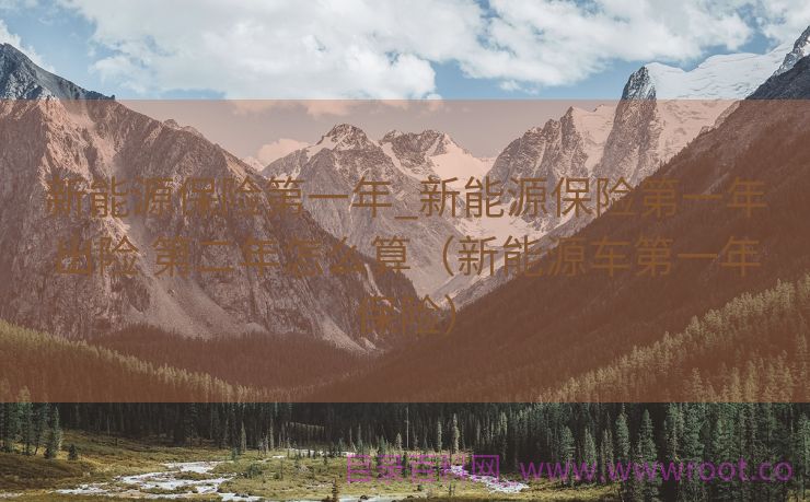 新能源保险第一年_新能源保险第一年出险 第二年怎么算（新能源车第一年保险）