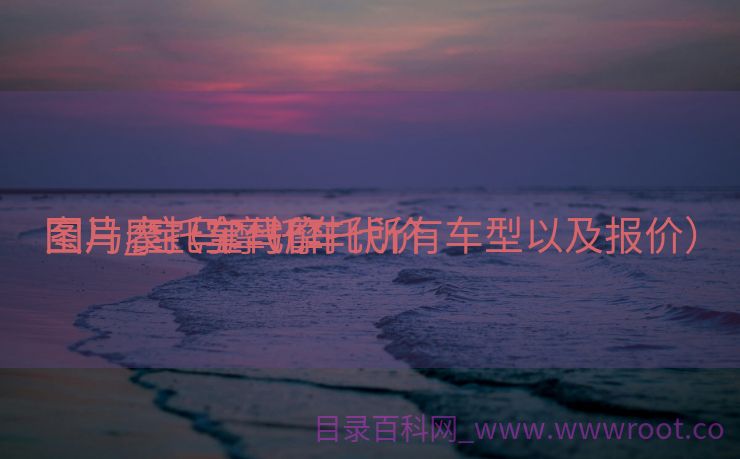 宝马摩托车代价
图片_宝马摩托车代价
图片表（宝马摩托所有车型以及报价）