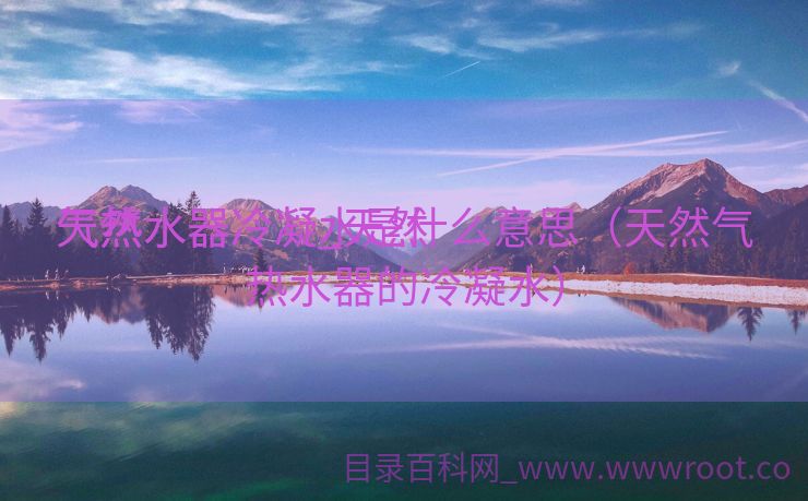 天然

气热水器冷凝_天然

气热水器冷凝水是什么意思（天然气热水器的冷凝水）