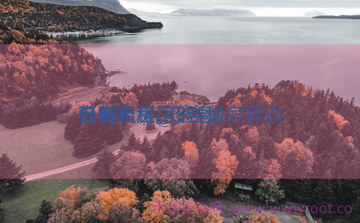 石岩租房_石岩租房那边

自制
（石岩租房信息）