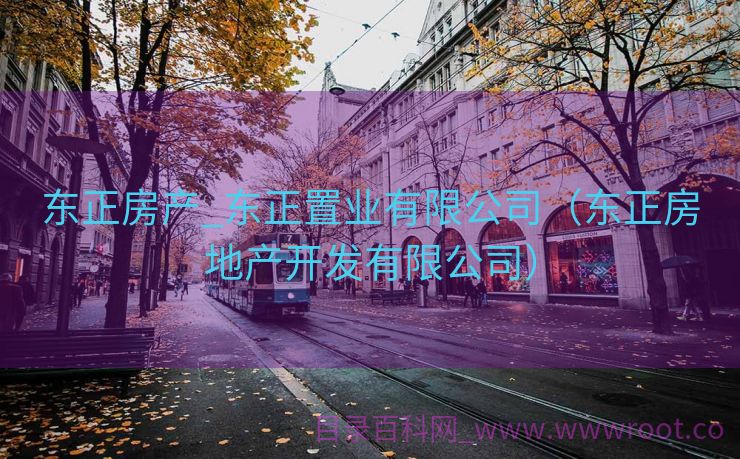 东正房产_东正置业有限公司（东正房地产开发有限公司）