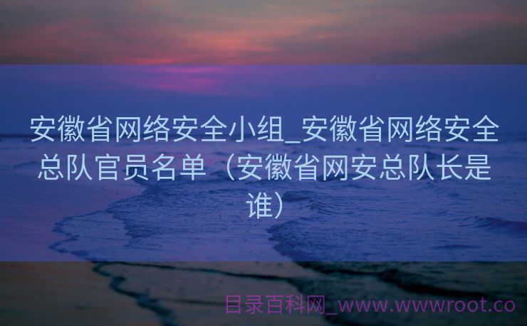 安徽省网络安全小组_安徽省网络安全总队官员名单（安徽省网安总队长是谁）