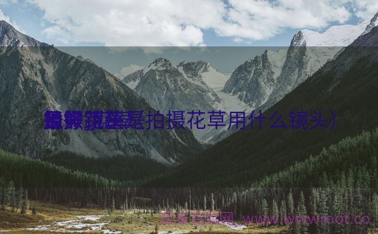 最好花草
镜头_花草
拍照
用微距还是

长焦镜头（拍摄花草用什么镜头）