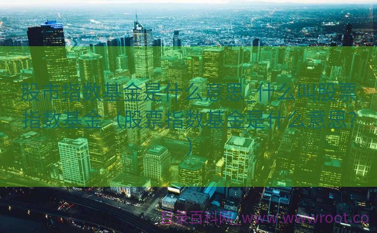 股市指数基金是什么意思_什么叫股票指数基金（股票指数基金是什么意思?）