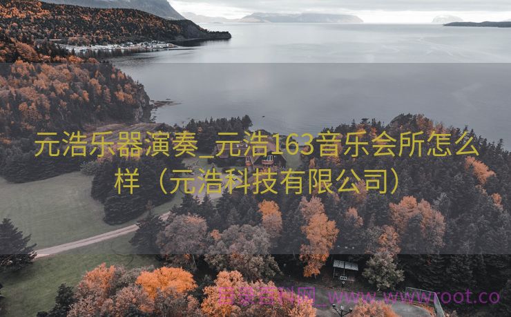 元浩乐器演奏_元浩163音乐会所怎么样（元浩科技有限公司）