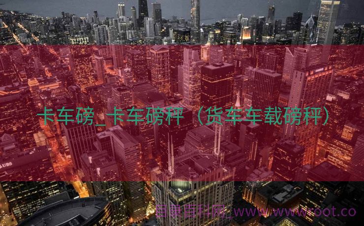 卡车磅_卡车磅秤（货车车载磅秤）