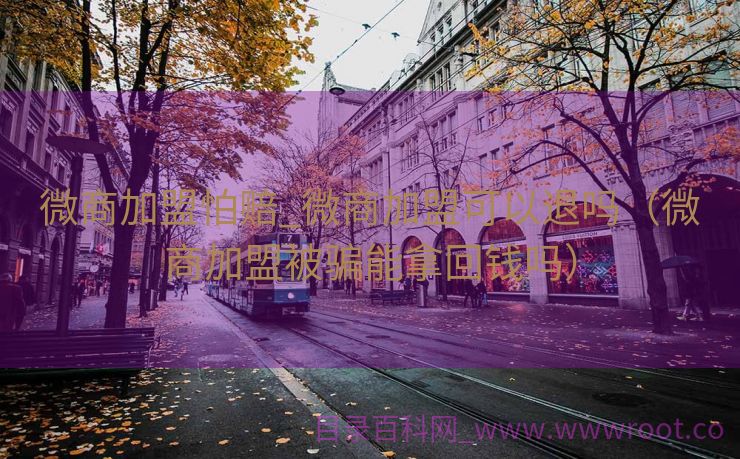 微商加盟怕赔_微商加盟可以退吗（微商加盟被骗能拿回钱吗）