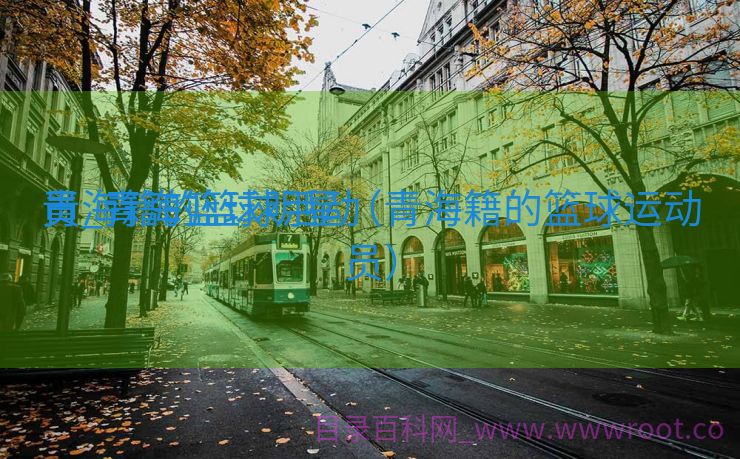 青海籍的篮球活动
员_青海篮球明星（青海籍的篮球运动员）