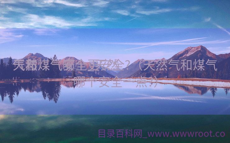 天然

气与煤气安全_天然

气和煤气哪个更安全?（天然气和煤气哪个安全一点?）