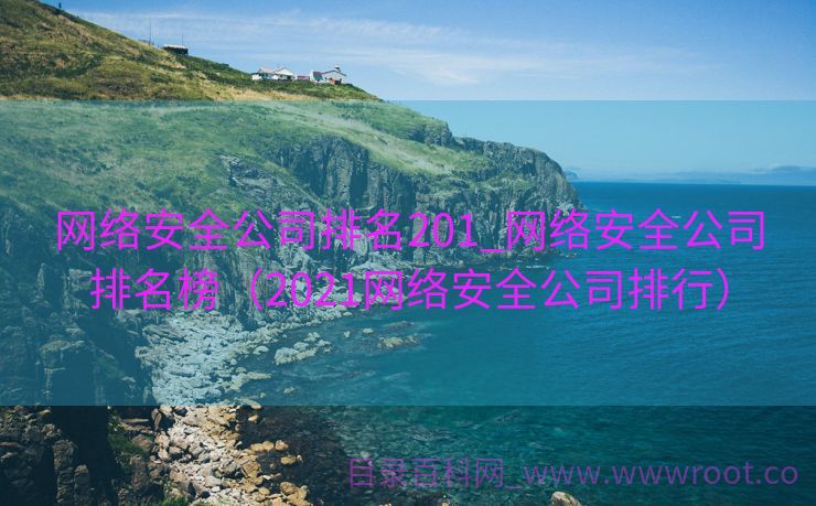 网络安全公司排名201_网络安全公司排名榜（2021网络安全公司排行）
