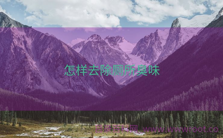 怎样去除厕所臭味