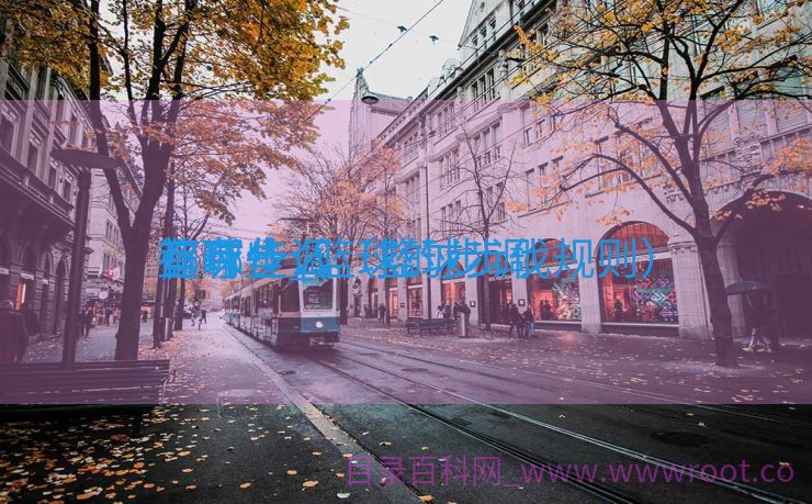 篮球步调
有哪些_篮球的步调
都有什么（篮球步伐规则）