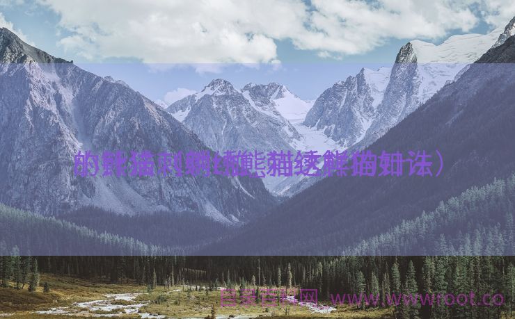 小熊猫刺绣t恤_刺绣熊猫如许
的针法（刺绣熊猫这样的针法）