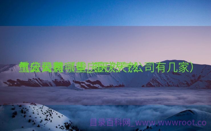 重庆天然

气公司有哪些_重庆天然

气分公司（重庆天然气公司有几家）