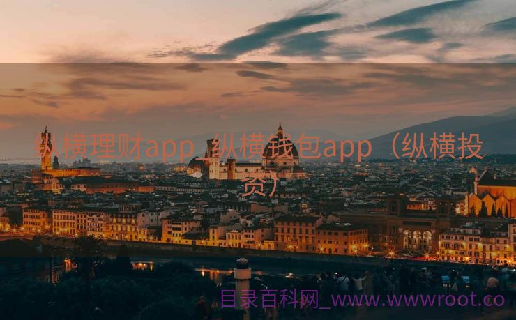 纵横理财app_纵横钱包app（纵横投资）