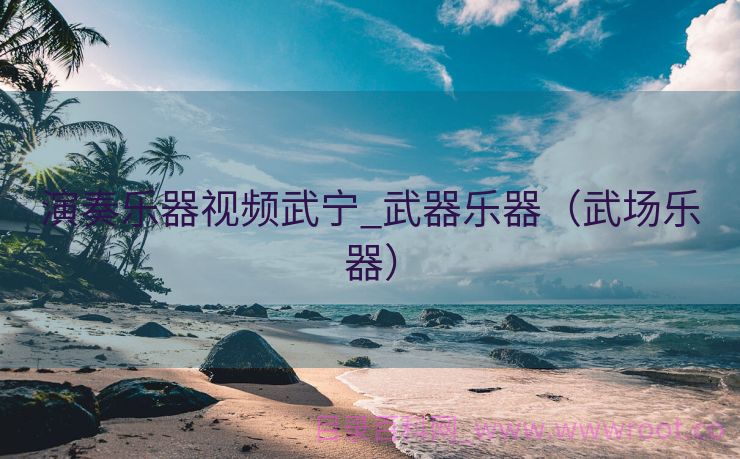 演奏乐器视频武宁_武器乐器（武场乐器）