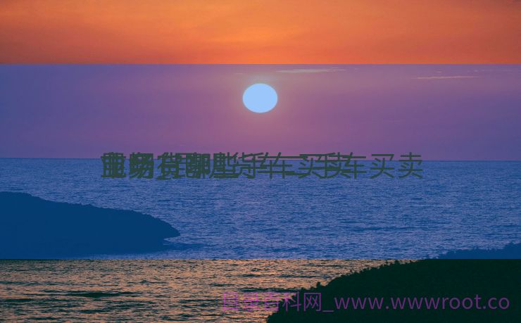 昆明货车二手车买卖
业务
市场_昆明货车二手车买卖
业务
市场有哪些
