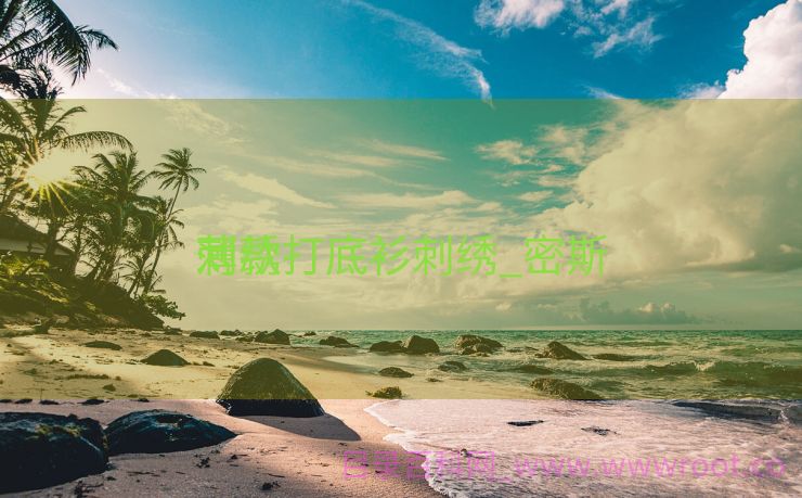 薄款打底衫刺绣_密斯
刺绣打底衫